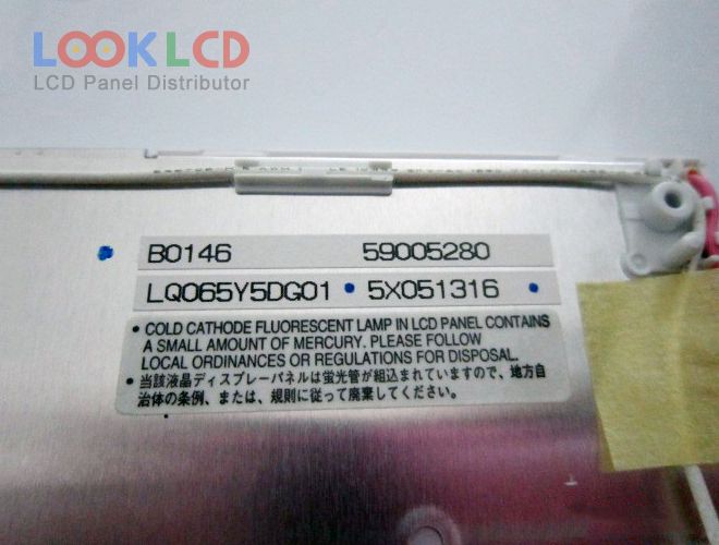 LQ065Y5DG01